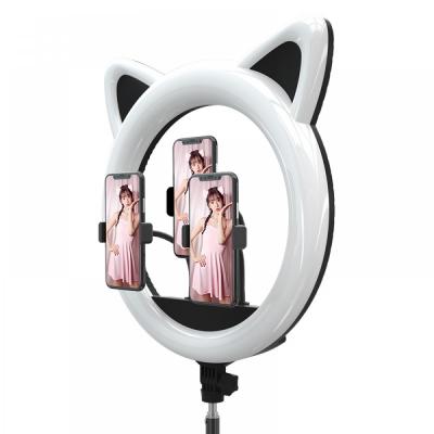 Кольцевая лампа LED RING 408 CAT RK-45 50 см + 3 держателя для телефона Кольцевая лампа LED RING 408 CAT RK-45 50 см + 3 держателя для телефона