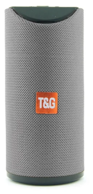 Портативная колонка T&G TG-113 (8108), серый