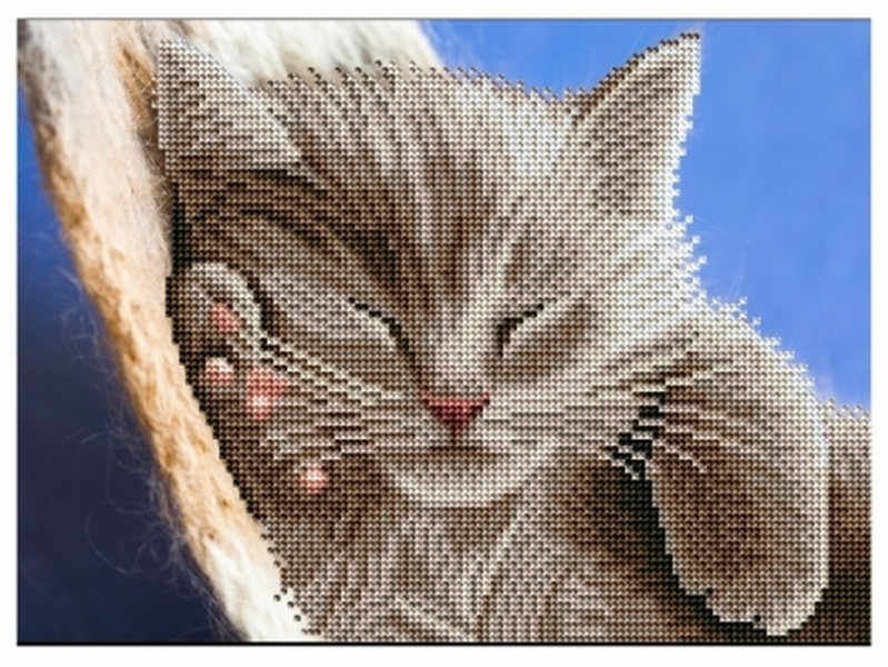 Алмазная мозаика с частичным заполнением Спящий котенок 30х40 см