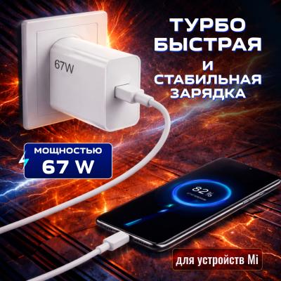 Зарядное с кабелем Type-C FaizFull FC228 67W*