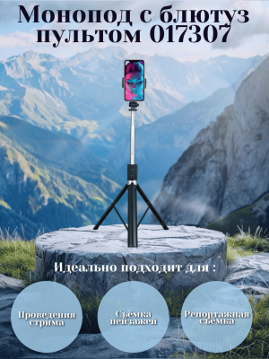 Монопод с блютуз пультом 017307 1.7m черный