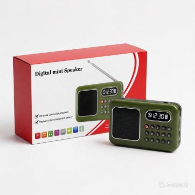 Портативный радиоприемник D-55