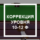 `Коррекция уровня (без снятия сукна) 10-12 ф
