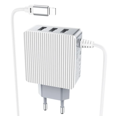 Зарядное устройство Borofone BA42A+кабель Lightning белый