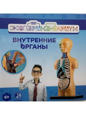 Набор для опытов Экспериментариум Внутренние органы