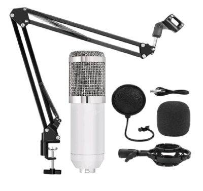 Конденсаторный студийный микрофон JBH BM800, белый с серебром