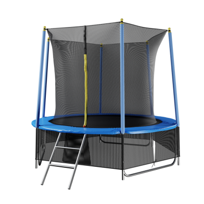 Батут "Winner Classic" (8 футов, верхняя + нижняя защитные сетки и лестница в комплекте)