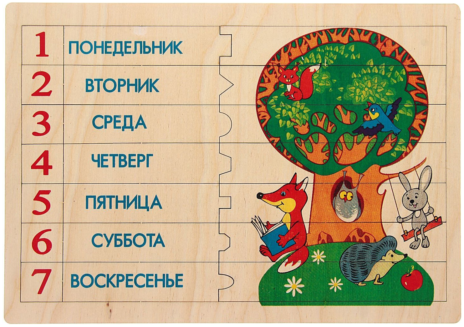 Картинка сколько месяцев в году