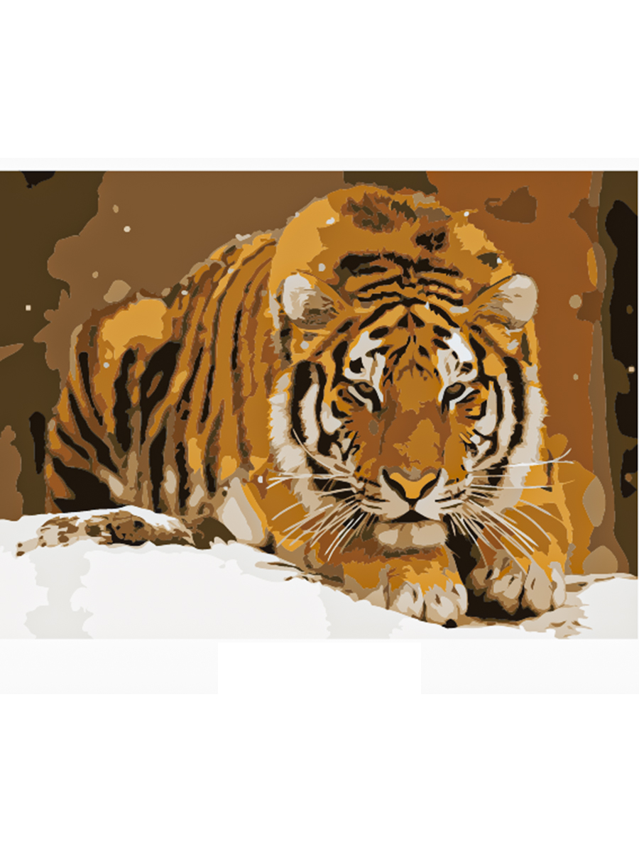 Холст с красками по номерам Рыжий кот Амурский тигр