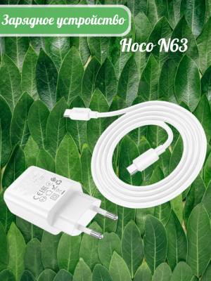 Зарядное с кабелем Type-C Hoco N63 PD30W белый