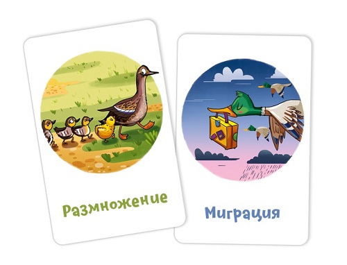Настольная игра Банда умников Кругозорник Биология Настольная игра Банда умников Кругозорник Биология