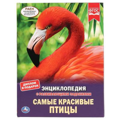 Энциклопедия Умка Самые красивые птицы А4, с развивающими заданиями, твердый переплет