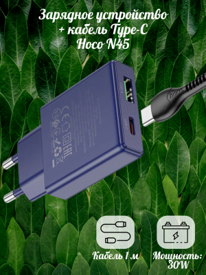 Зарядное с кабелем Type-C Hoco N45 PD30W черный