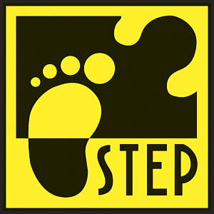 Step Puzzle